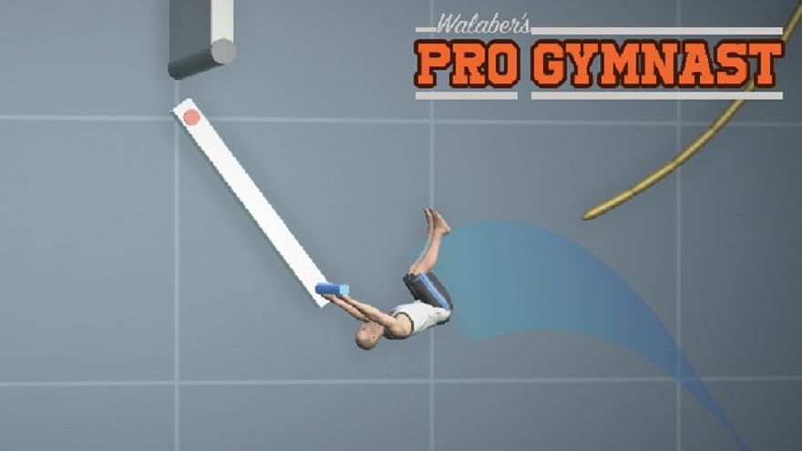pro-gymnast-1.jpg
